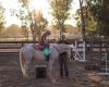 Norco Equestrian Academy