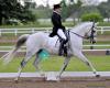 North Texas Equestrian Center