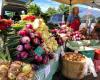 North Union Farmers Market