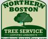 Northern Boston Tree Service