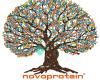 Novoprotein Scientific Inc