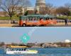 Old Town Trolley and DC Duck Tours