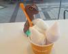 Orange Leaf Frozen Yogurt