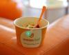 Orange Leaf Frozen Yogurt