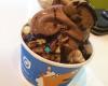 Orange Leaf Frozen Yogurt Plainfield