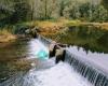 Oregon Hatchery Research Center