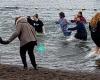 Oregon Special Olympics Polar Plunge