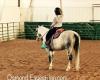 Osmond Equestrian