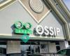 Ossip Optometry + Ophthalmology