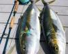 Pacific Fly Fishing Charters