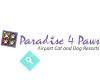 Paradise 4 Paws Denver