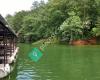 Paradise Rental Boats Lake Allatoona