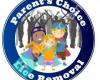 Parent's Choice Lice Removal