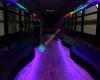 Party Express Bus