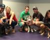 Pas Dog Training