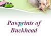 Pawprints of Buckhead