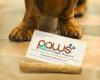 Paws Premium Doggie Daycare