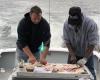 Pelagic Beast Fishing Charters
