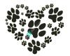 Peppy Paws