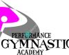 Performance Gymnastics Academy