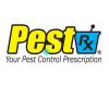 Pest Rx