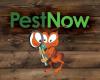 PestNow