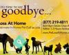 Pet Loss At Home - Home Euthanasia Vets