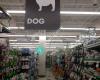 Pet Supplies Plus