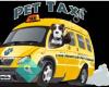 Pet Taxi New York