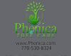 Phenica Tree Care