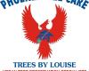 Phoenix Tree Care & Trees by Louise
