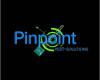 Pinpoint Pest Solutions