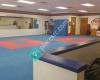 PKSA Karate-St. Clair Shores