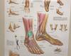 Podiatry Associates of Indiana - Foot & Ankle Institute