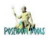 Poseidon Pools Houston