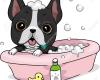 Posh Pet Services