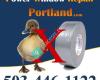 Power Window Repair - Portland