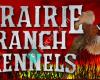 Prairie Ranch Kennels