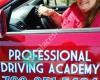 Professional Driving Academy