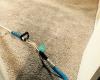 Proforce Carpet Cleaning