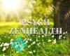 Psych ZenHealth