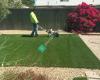 Purchase Green Artificial Grass - Phoenix