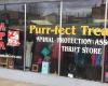 Purr-fect Treasures