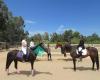 Rancho El Camino Equestrian - Horse Boarding and Lessons