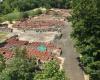 Reclaimed Roofs