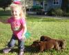 Redmark Kennels