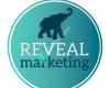 Reveal Marketing