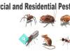 Richard J Sica Pest Control