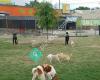 Riverside Kennel