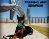 ROC Animal Training and Behavior